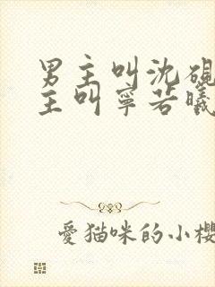 男主叫沈砚舟女主叫宁若曦的小说