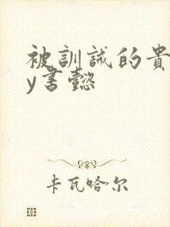 被训诫的贵妃by书懿