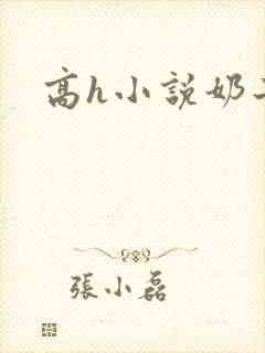 高h小说奶子