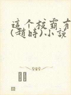 这个校霸有点甜(赵时)小说