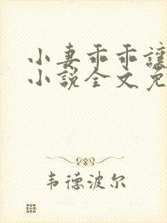 小妻乖乖让我宠小说全文免费阅读封面