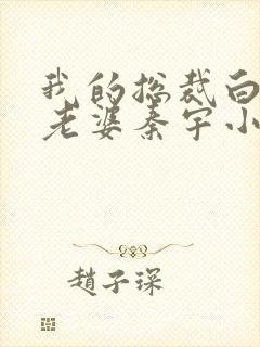 我的总裁白富美老婆秦宇小说无广告