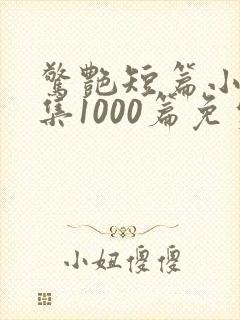 惊艳短篇小说合集1000篇免费阅读
