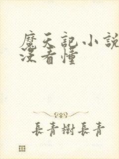 魔天记小说结局没看懂封面