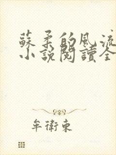 苏柔的风流人生小说阅读全文
