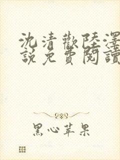 沈清欢陆泽远小说免费阅读