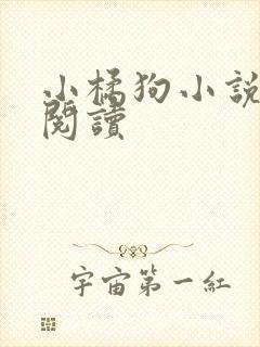 小橘狗小说在线阅读