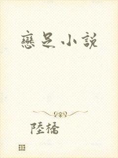 恋足小说