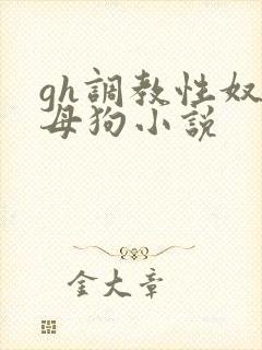 gh调教性奴隶母狗小说