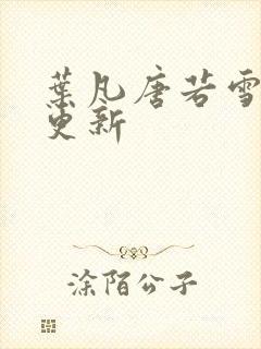 叶凡唐若雪最近更新封面