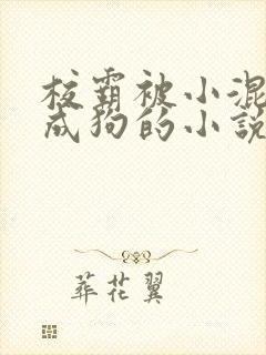 校霸被小混调练成狗的小说免费阅读