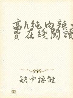 高h纯肉辣文免费在线阅读封面
