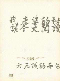 我老婆的秘密小说全文阅读