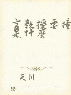 言教授要撞坏了是什么