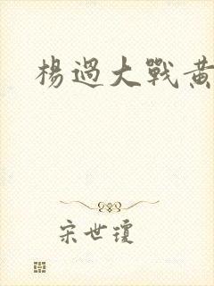 杨过大战黄蓉
