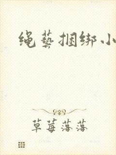 绳艺捆绑小说