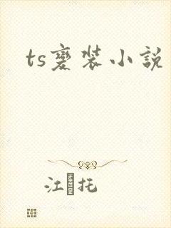 ts变装小说封面