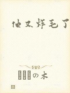 他又炸毛了