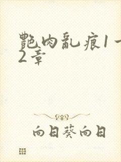 艳肉乱痕1一12章
