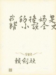 我的后妈是狐狸精 小说全文阅读免费封面