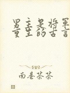 男主是将军女主重生的古言封面