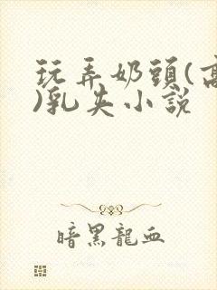 玩弄奶头(高h)乳夹小说
