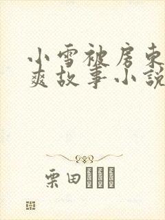 小雪被房东的好爽故事小说封面