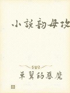 小说韵母攻略