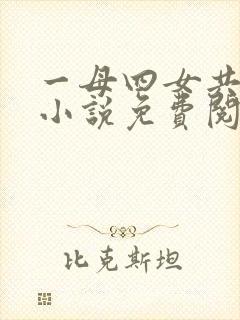 一母四女共一婿小说免费阅读老婆的