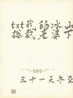 txt我的冰山总裁老婆下载