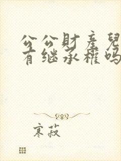 公公财产儿媳妇有继承权吗