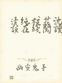 清纯校花沈柔小说在线阅读