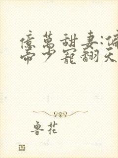 亿万甜妻:偏执帝少宠翻天