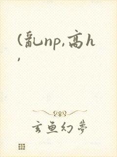 (乱np,高h,