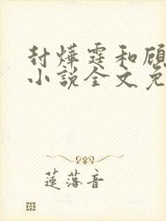 封烨霆和顾微微小说全文免费阅读封面