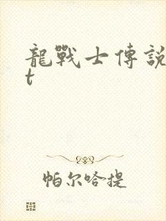 龙战士传说txt