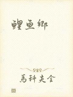 鲤鱼乡封面