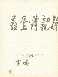 叶辰,萧初然小说上门龙婿