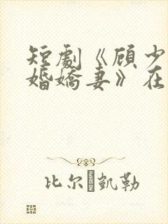 短剧《顾少的闪婚娇妻》在线观看封面