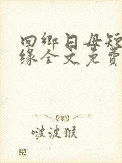 回乡日母短篇孽缘全文免费阅读小说封面