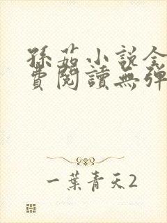 孙茹小说全文免费阅读无弹窗