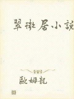 翠微居小说