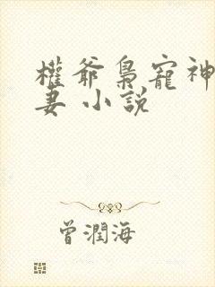 权爷枭宠神秘娇妻 小说