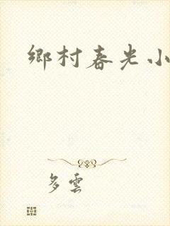 乡村春光小说