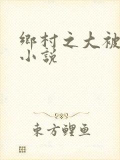 乡村之大被同眠小说