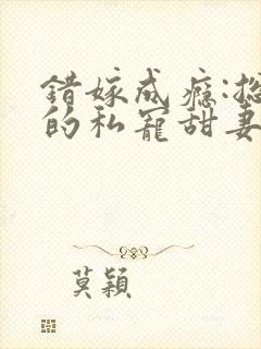 错嫁成瘾:总裁的私宠甜妻