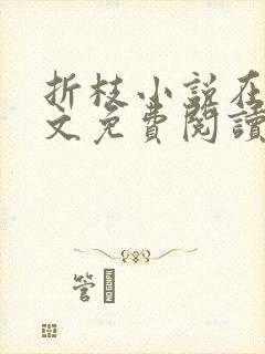 折枝小说在线全文免费阅读无弹窗