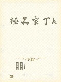 极品家丁h