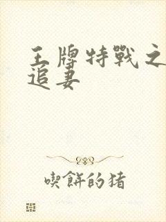 王牌特战之军少追妻