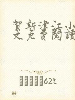 贺斯津江小说全文免费阅读封面
